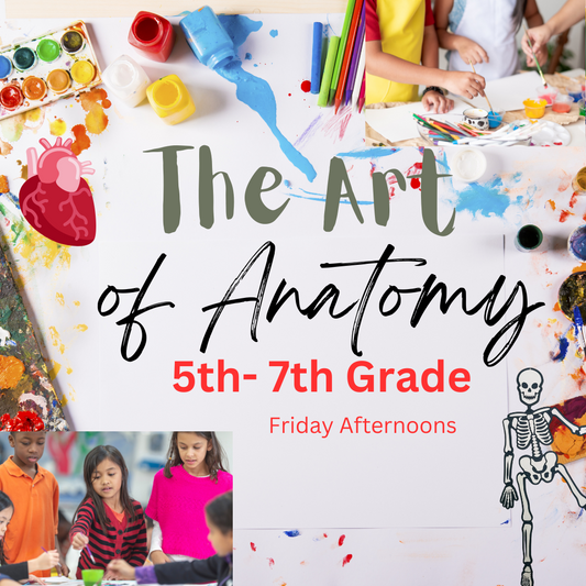 The Art of Anatomy 5th-7th Grade